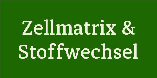 Zellmatrix & Stoffwechsel